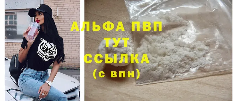 A-PVP СК КРИС  Елец 