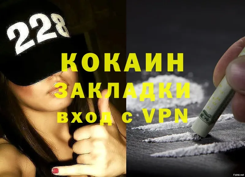 COCAIN Fish Scale  блэк спрут ONION  Елец 
