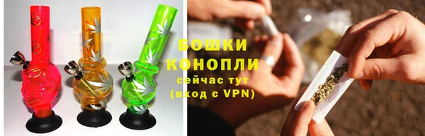 ГАЛЛЮЦИНОГЕННЫЕ ГРИБЫ Осинники
