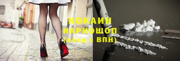 ГАЛЛЮЦИНОГЕННЫЕ ГРИБЫ Осинники