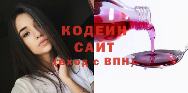 индика Пролетарск