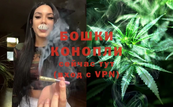 ГАЛЛЮЦИНОГЕННЫЕ ГРИБЫ Осинники