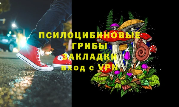 индика Пролетарск