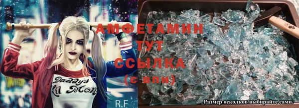 ГАЛЛЮЦИНОГЕННЫЕ ГРИБЫ Осинники