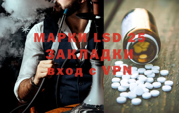 ГАЛЛЮЦИНОГЕННЫЕ ГРИБЫ Осинники