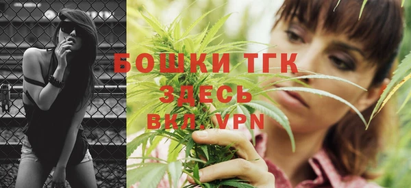 ГАЛЛЮЦИНОГЕННЫЕ ГРИБЫ Осинники