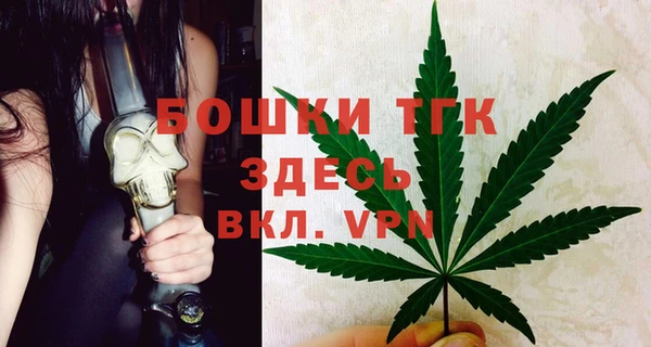 ГАЛЛЮЦИНОГЕННЫЕ ГРИБЫ Осинники