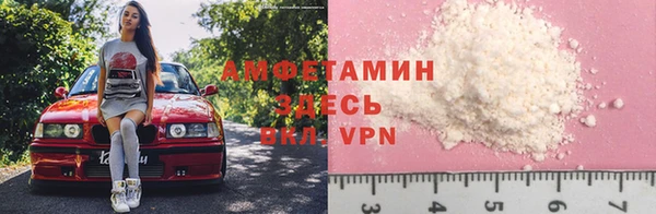 ГАЛЛЮЦИНОГЕННЫЕ ГРИБЫ Осинники