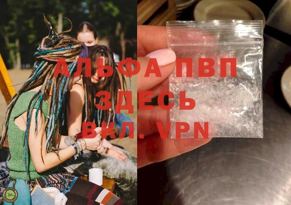 индика Пролетарск