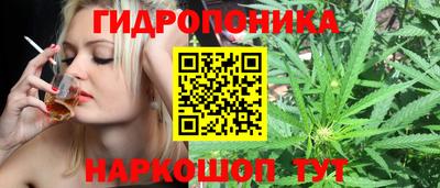 индика Балаково