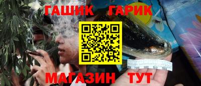 гашик Аргун