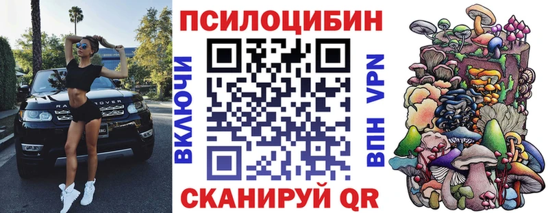 что такое Елец MEGA зеркало Галлюциногенные грибы Cubensis