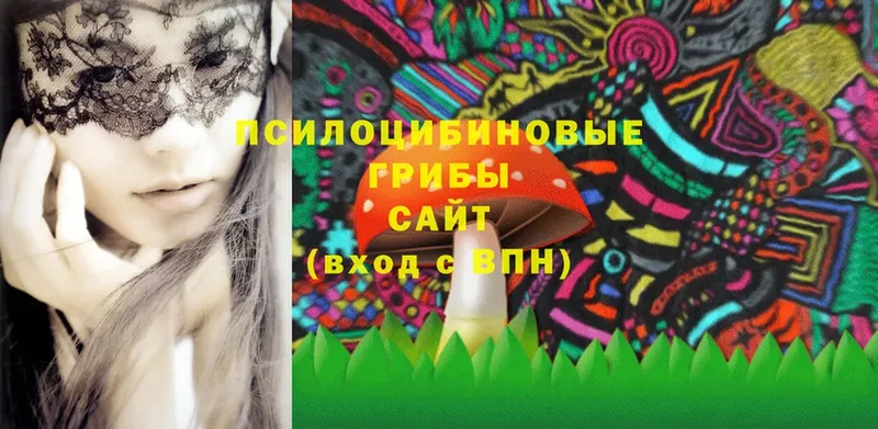 Псилоцибиновые грибы мицелий Елец