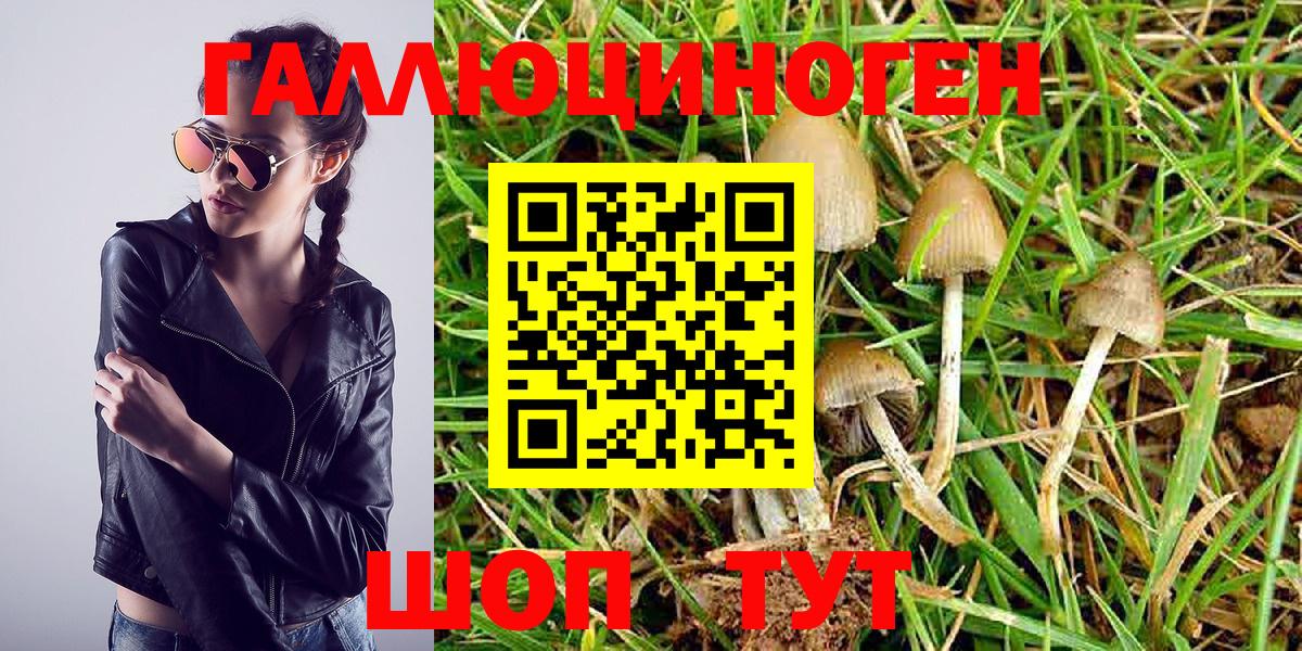 Галлюциногенные грибы Magic Shrooms Елец